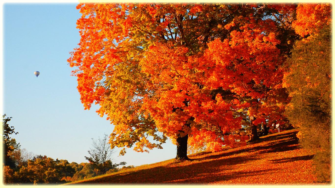 fall backgrounds for computer #24