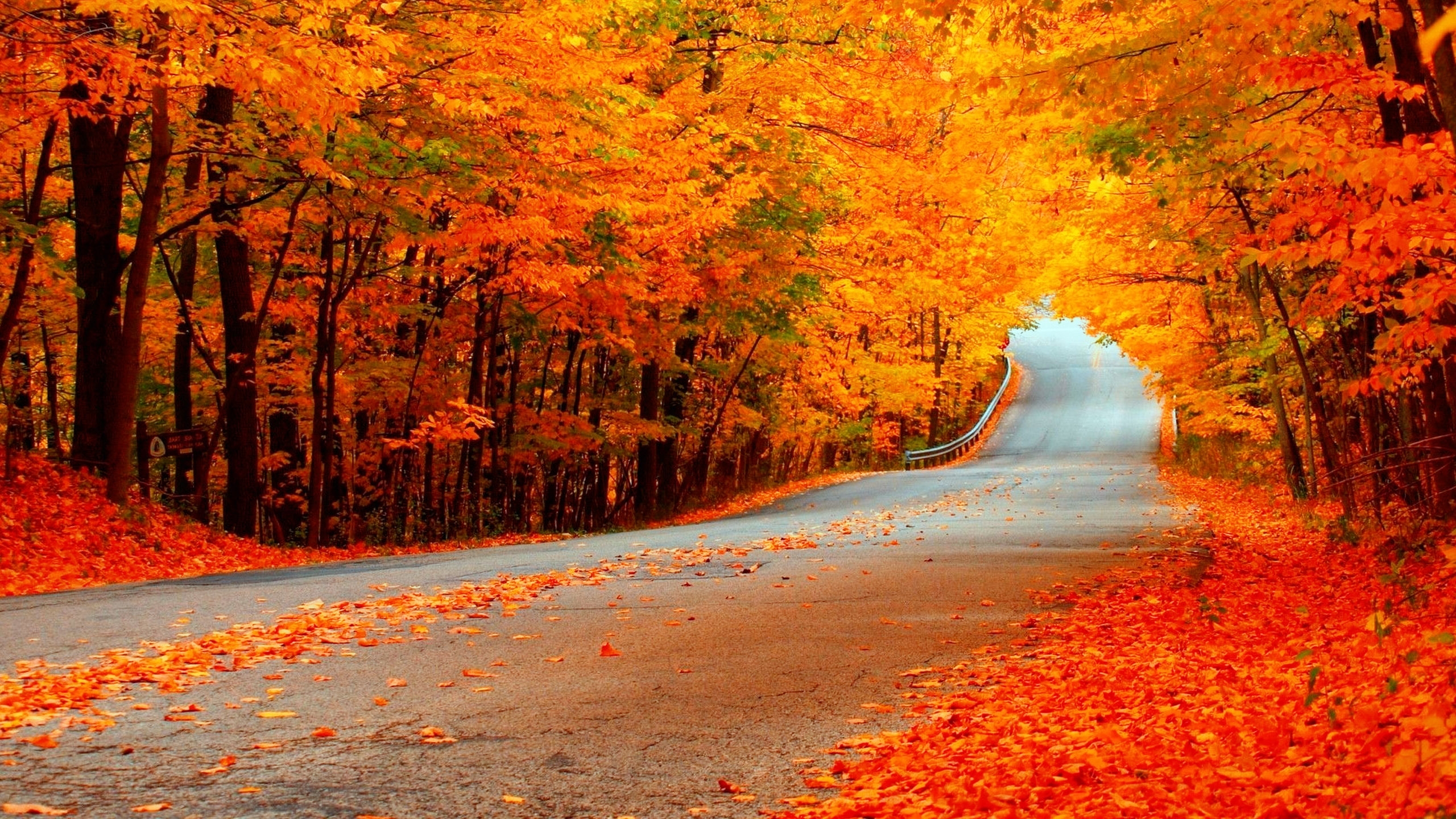 High definition fall wallpapers
