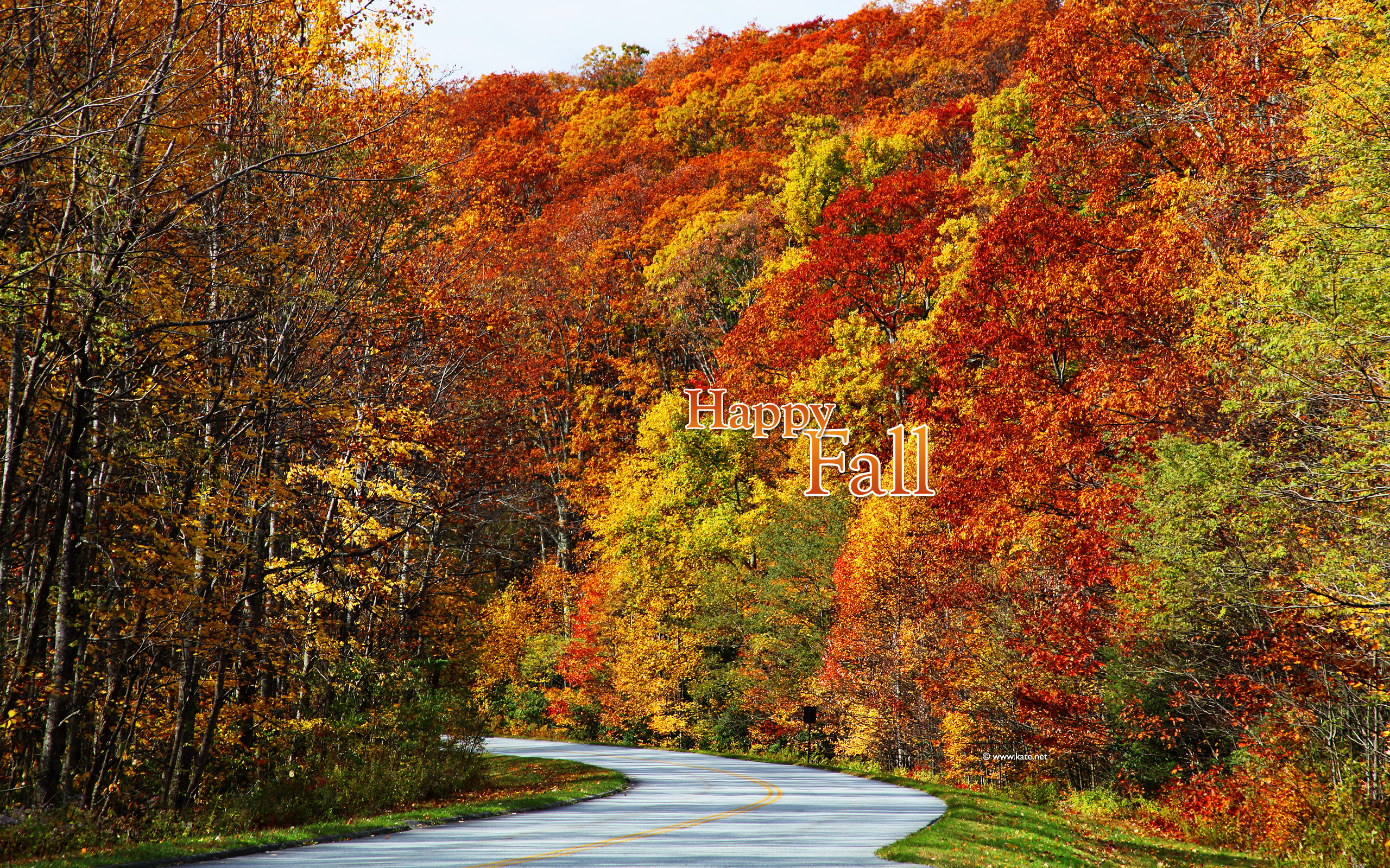 fall foliage desktop wallpaper #22