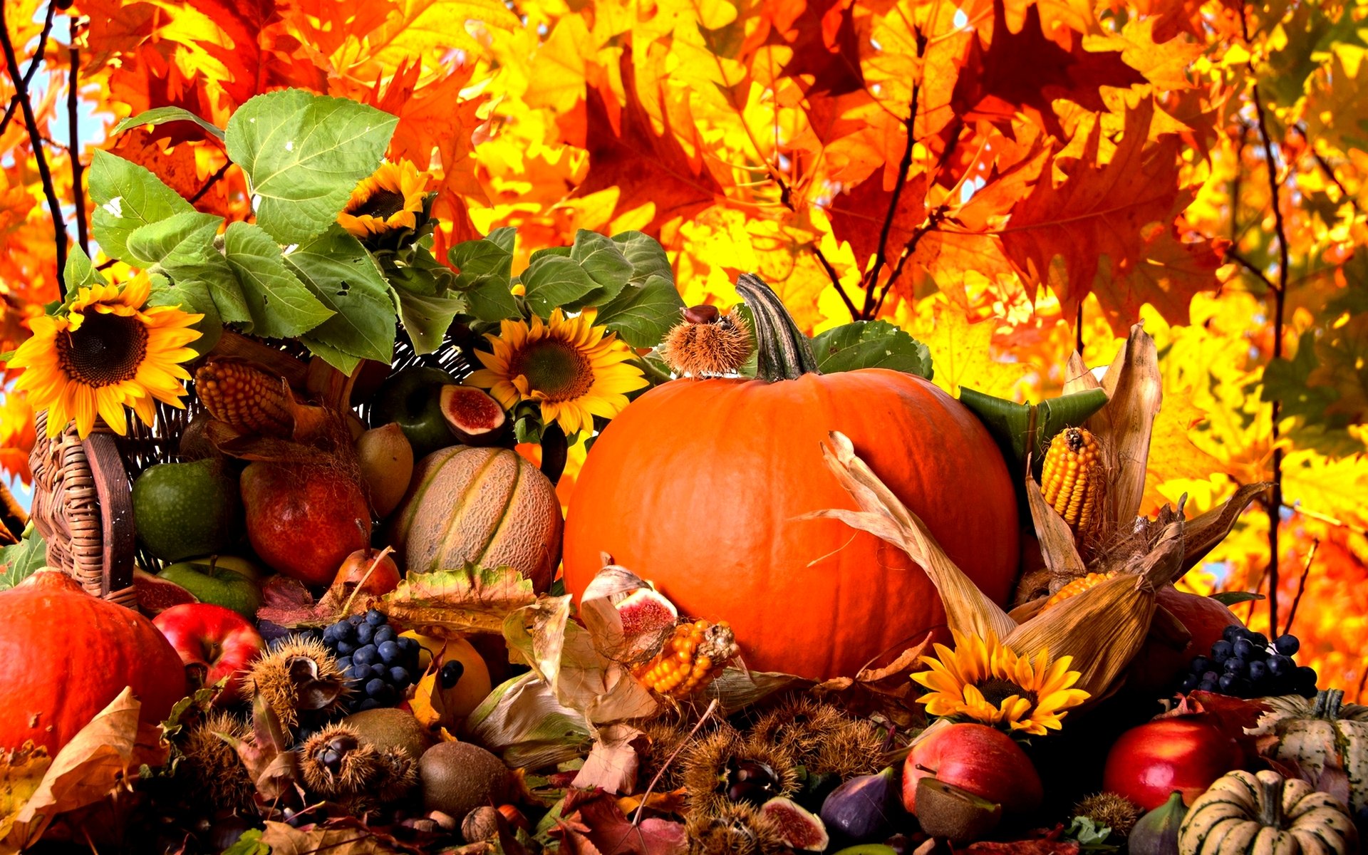 fall leaves and pumpkins wallpaper #12