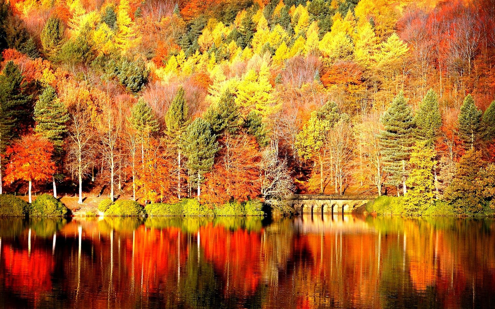 free autumn desktop wallpapers backgrounds #13