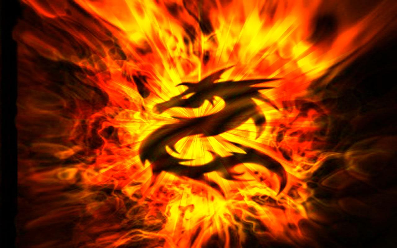 Fire dragon hd wallpaper