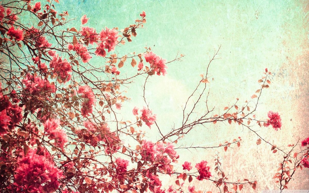 floral print wallpaper tumblr #23