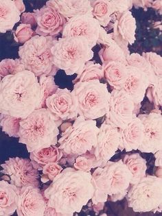 floral wallpaper tumblr #6