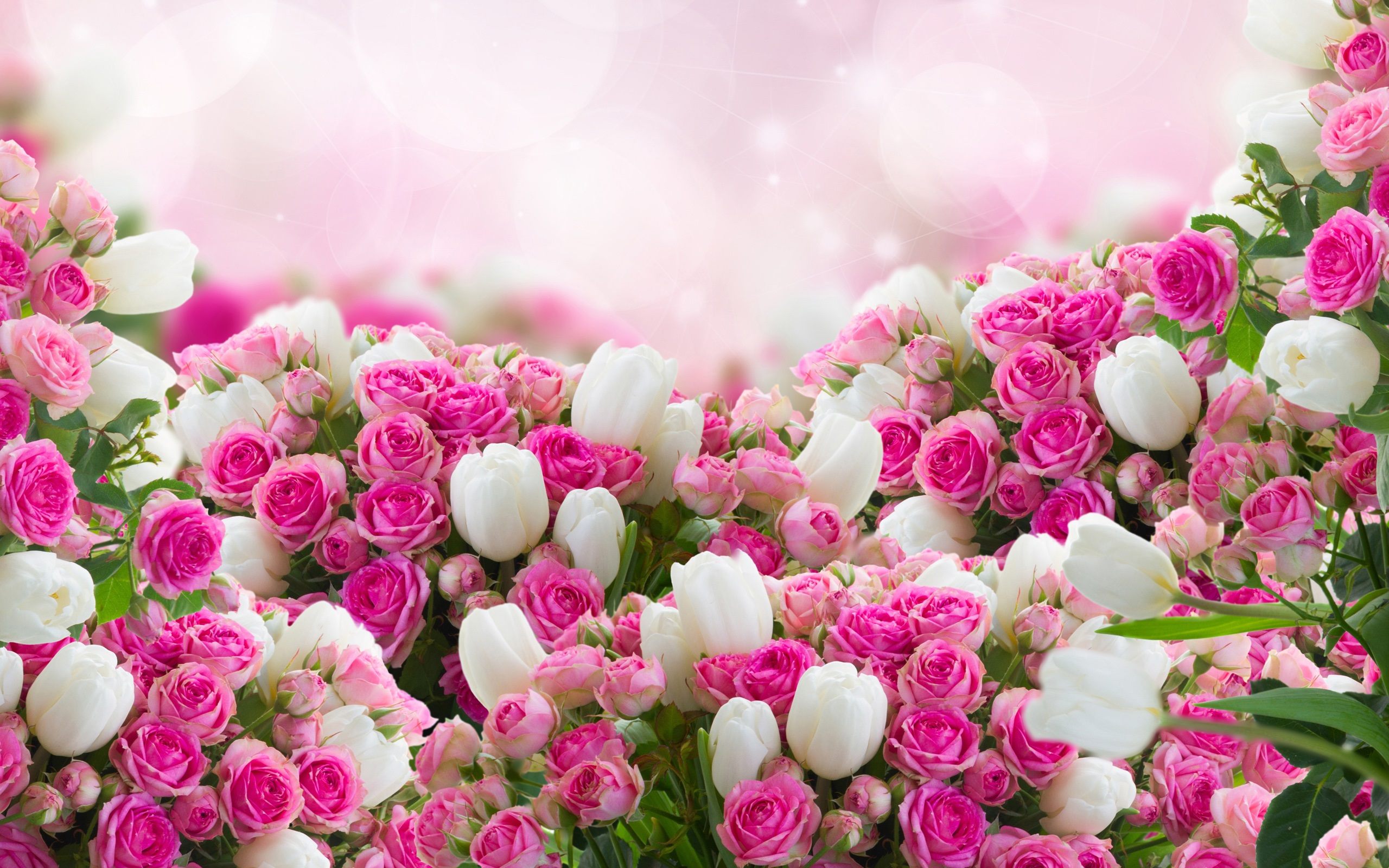 Flowers wallpaper images