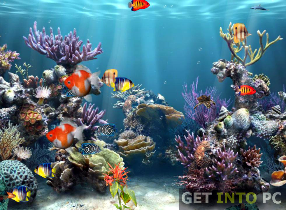Free aquarium wallpaper