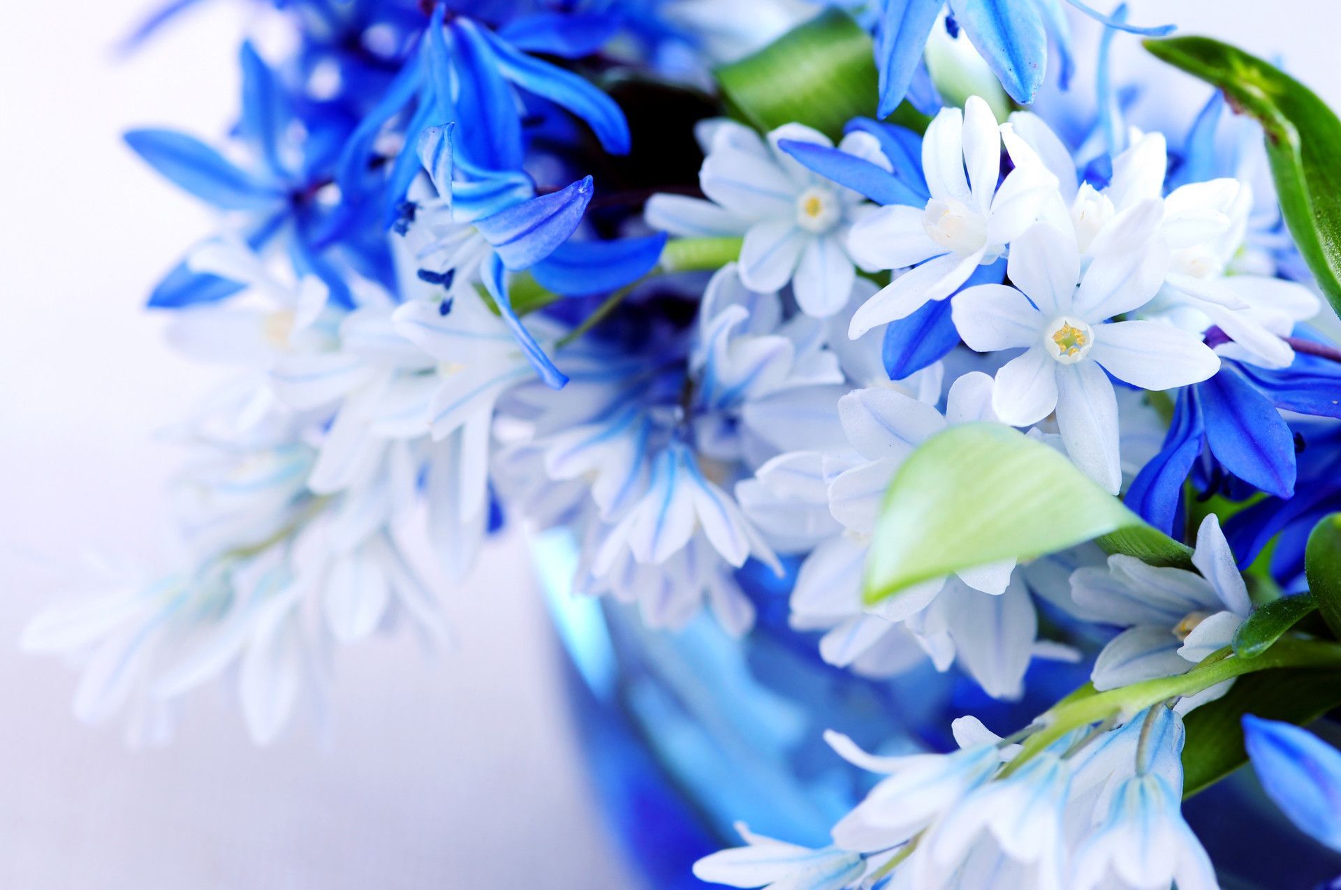 free best wallpaper images flowers background #22