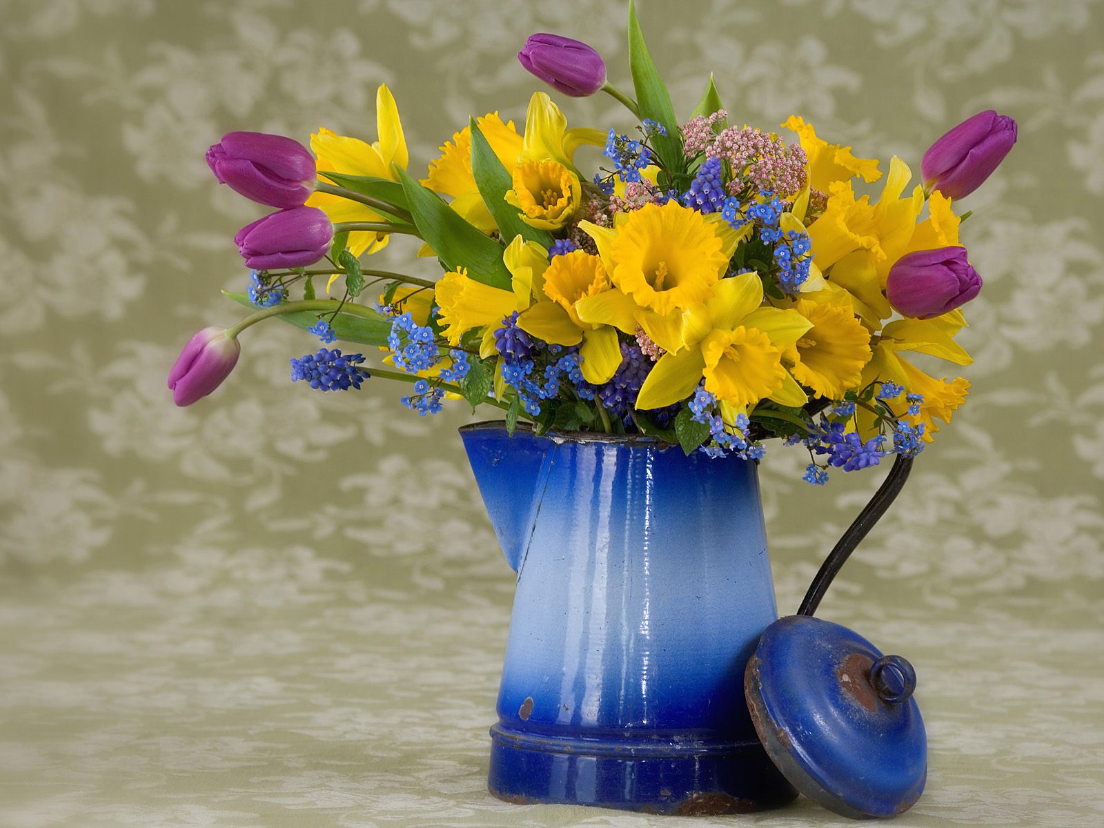free desktop wallpaper spring flowers #12