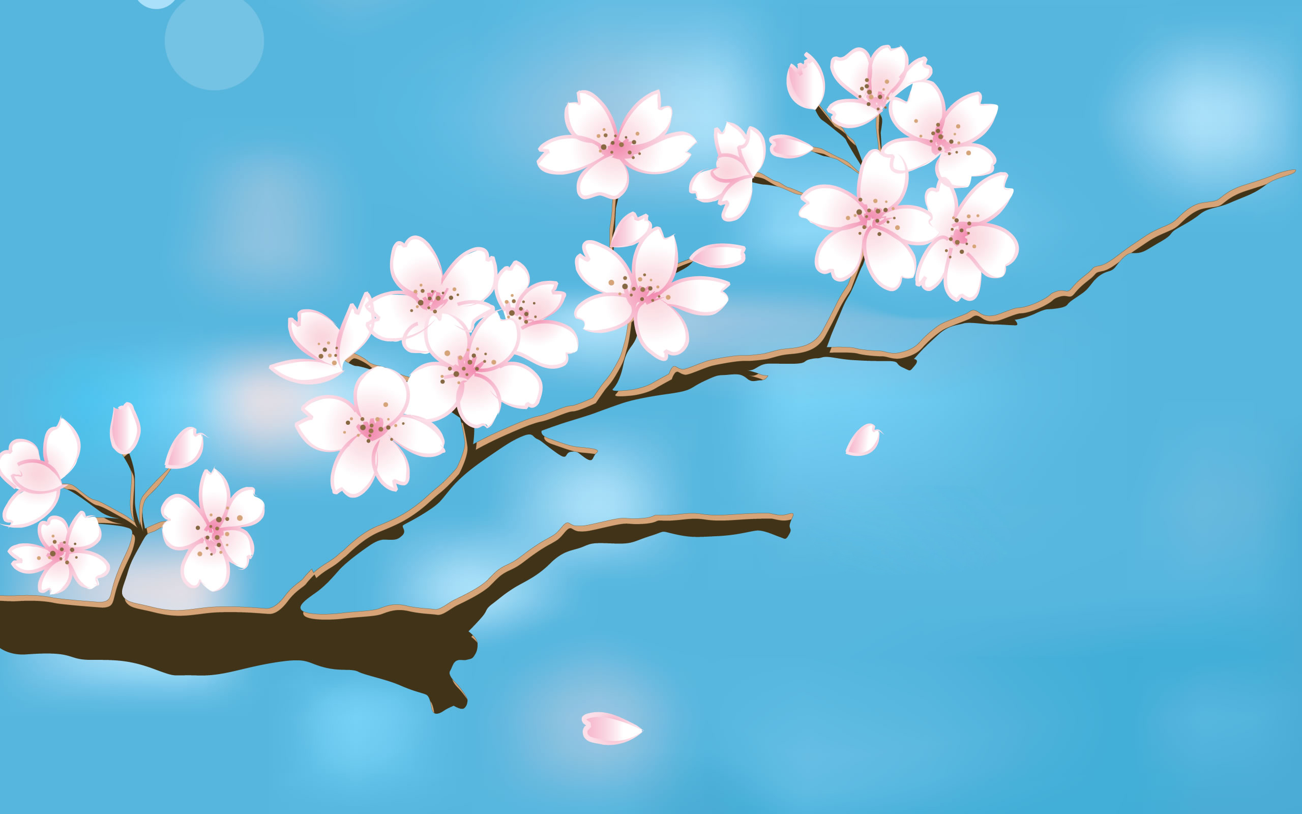 free desktop wallpaper spring flowers #13