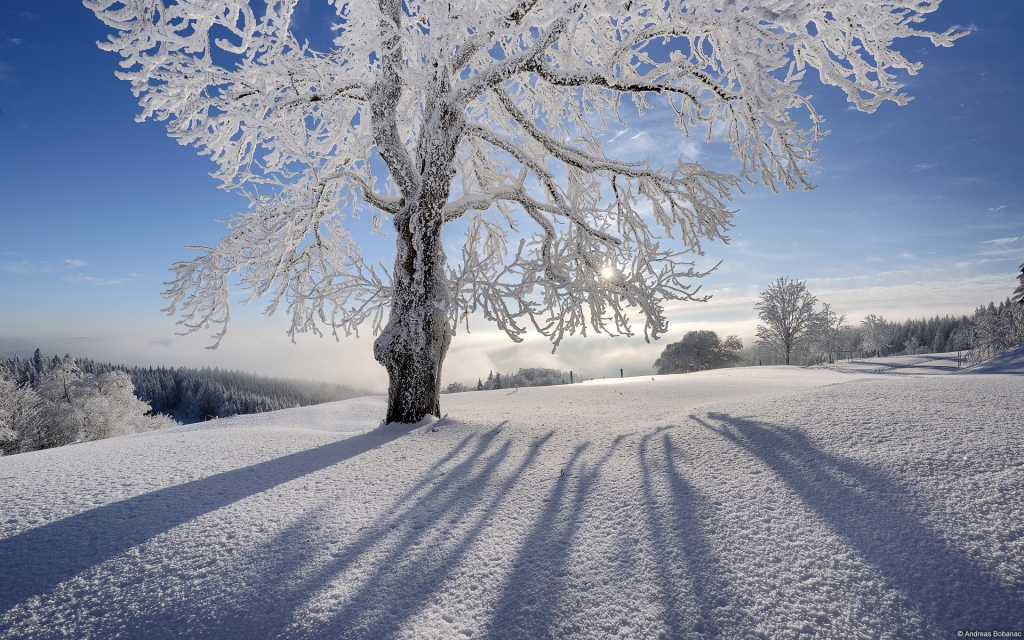 free winter scenes desktop backgrounds #19
