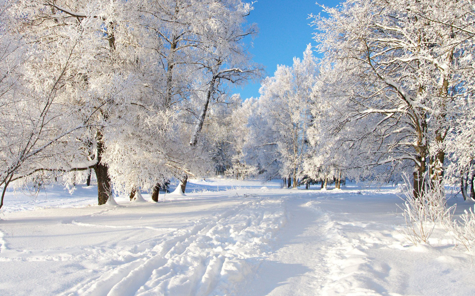free winter background pictures #23