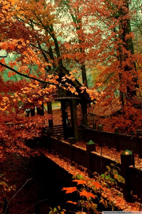 67 autumn wallpaper for android Pictures