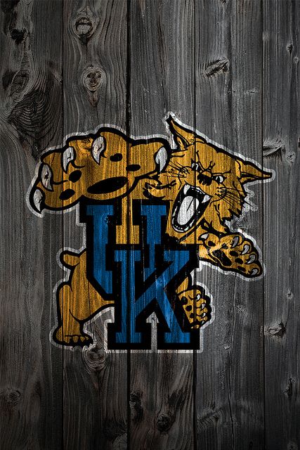 Free kentucky wildcats wallpaper