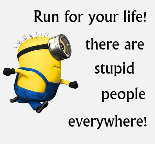 funny minion pictures #13