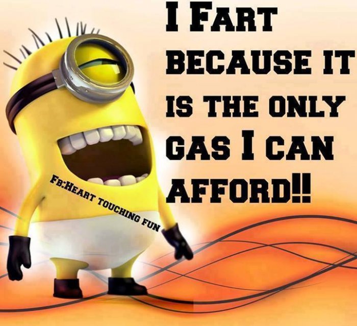 funny minion pictures #8