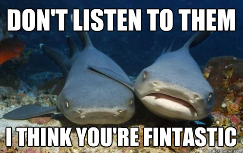 Funny shark pictures