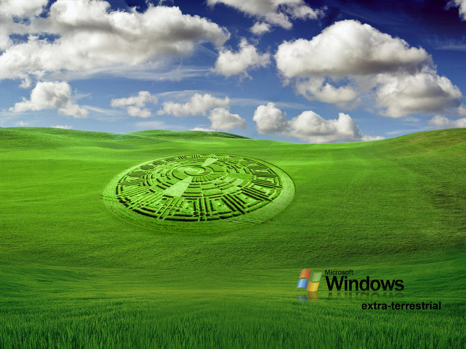 Funny windows backgrounds