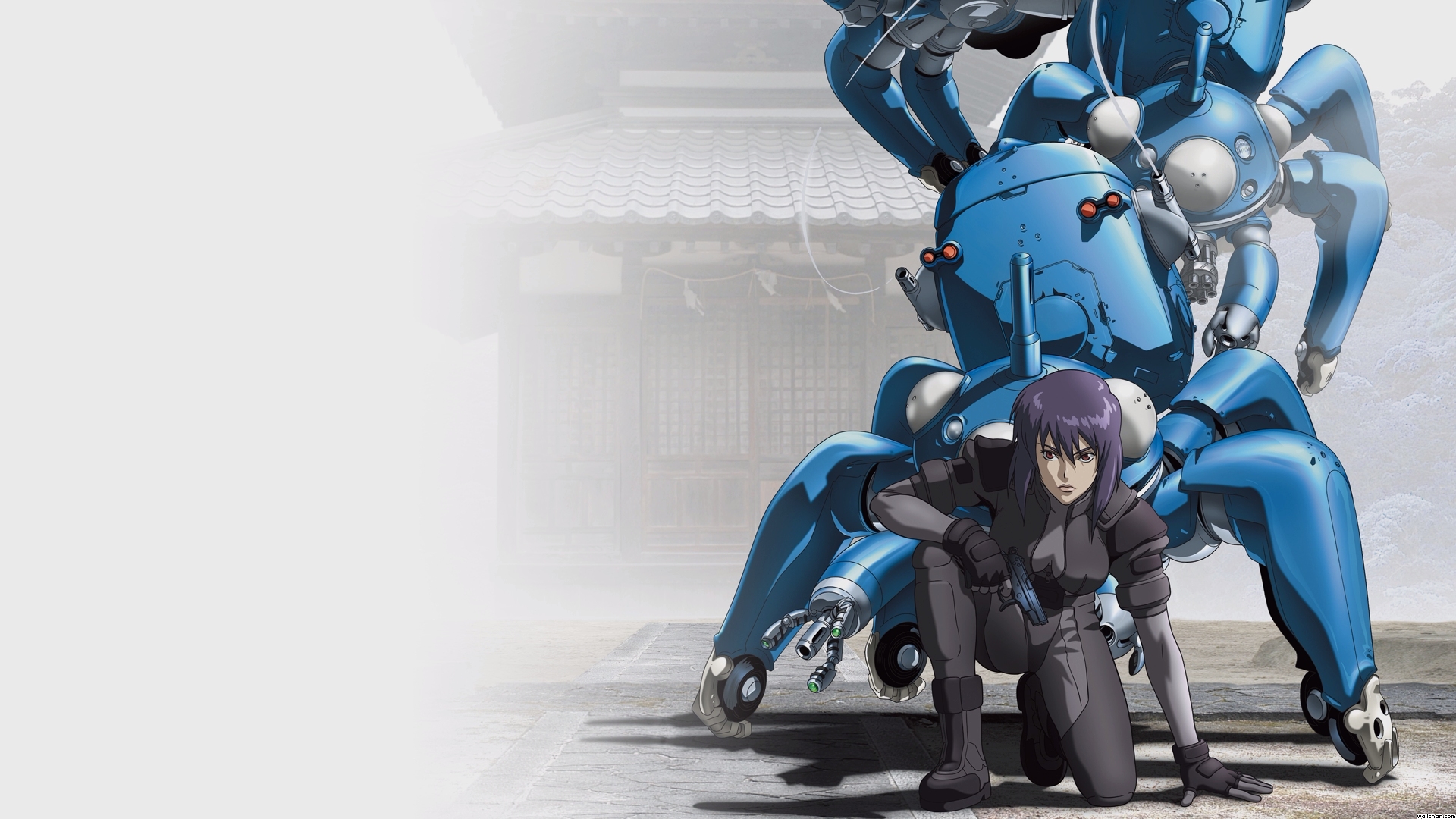 Ghost in the shell wallpapers