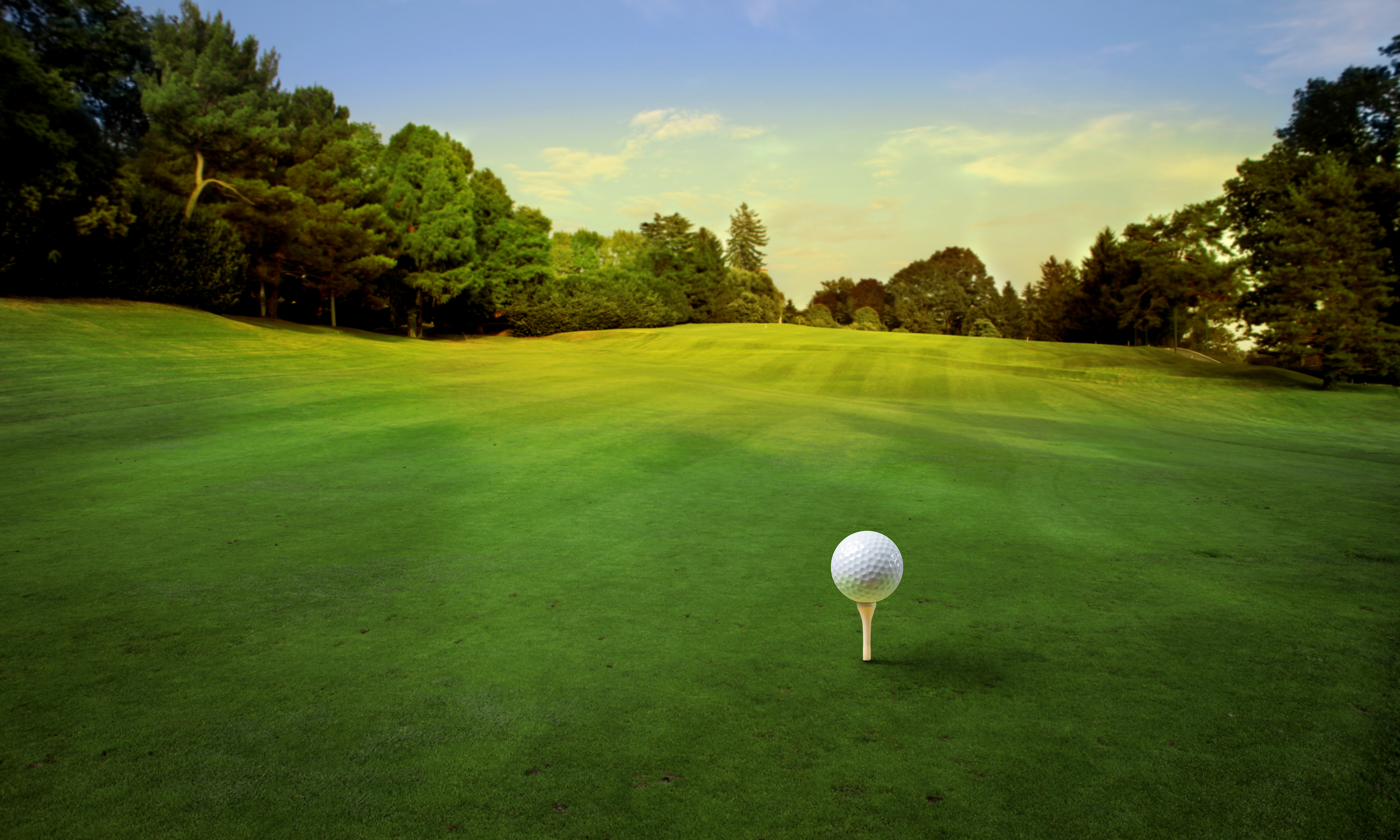 Golf course background