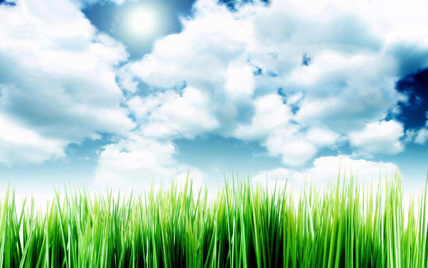 Grass Sky Wallpapers Group (77+)