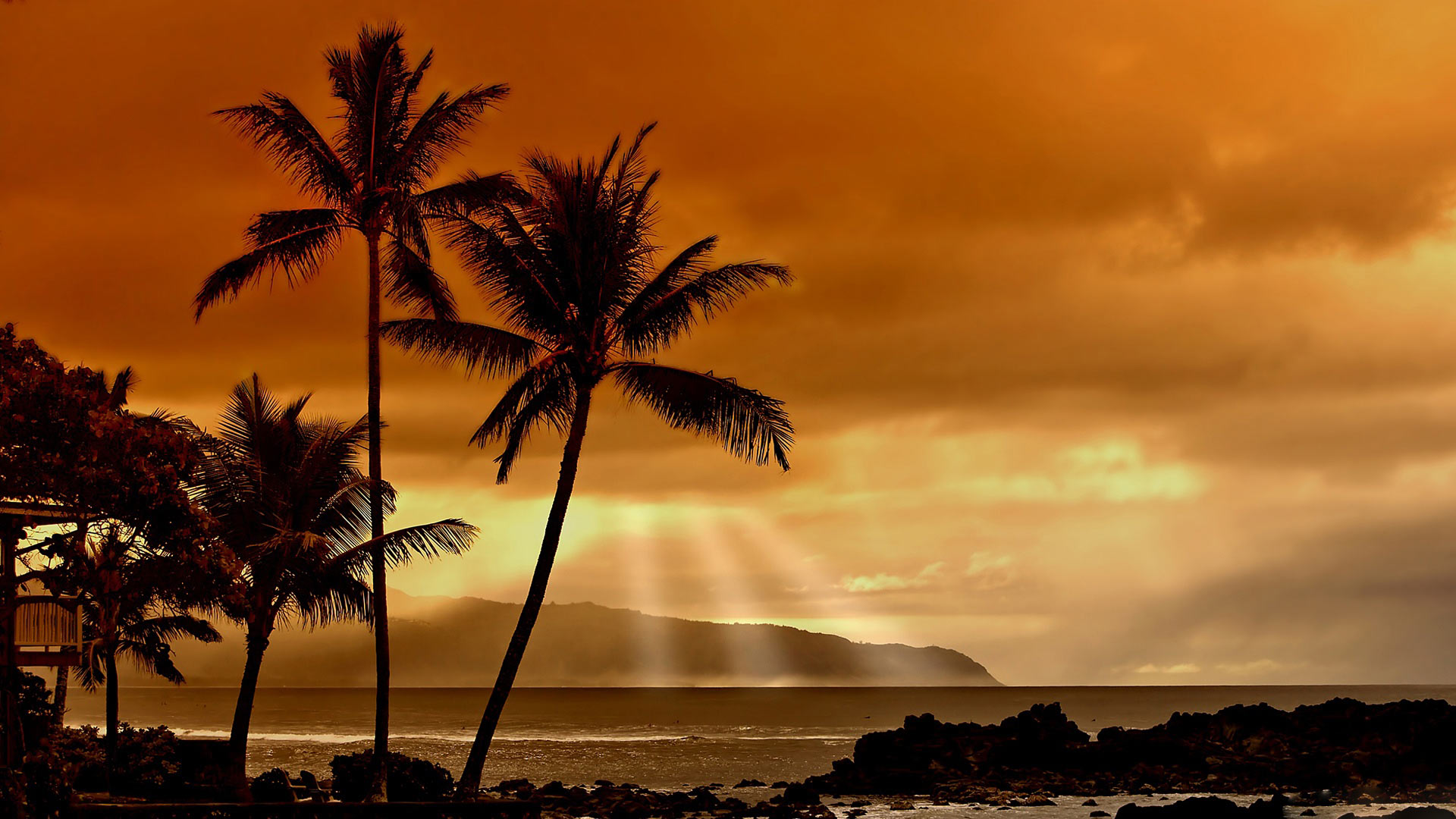 Hawaii backgrounds