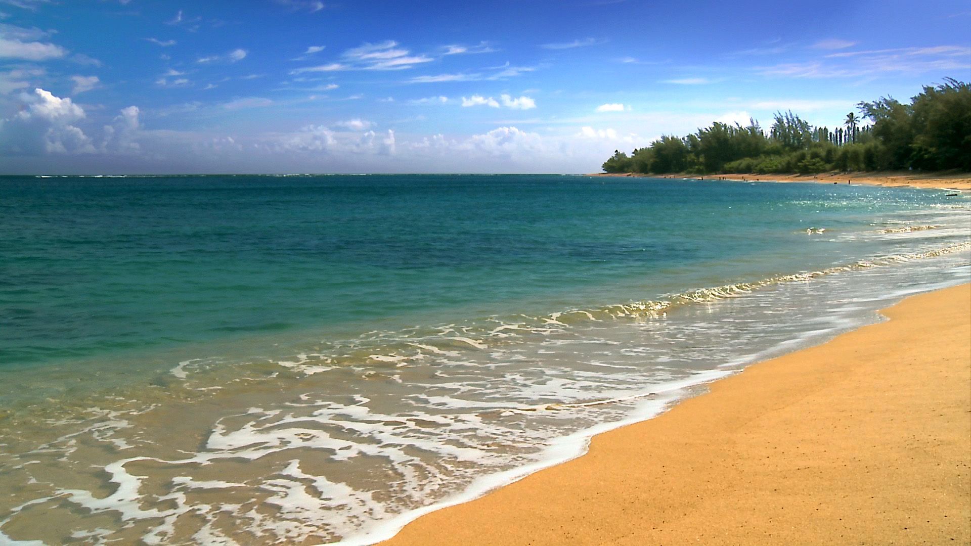 Hawaii beach background