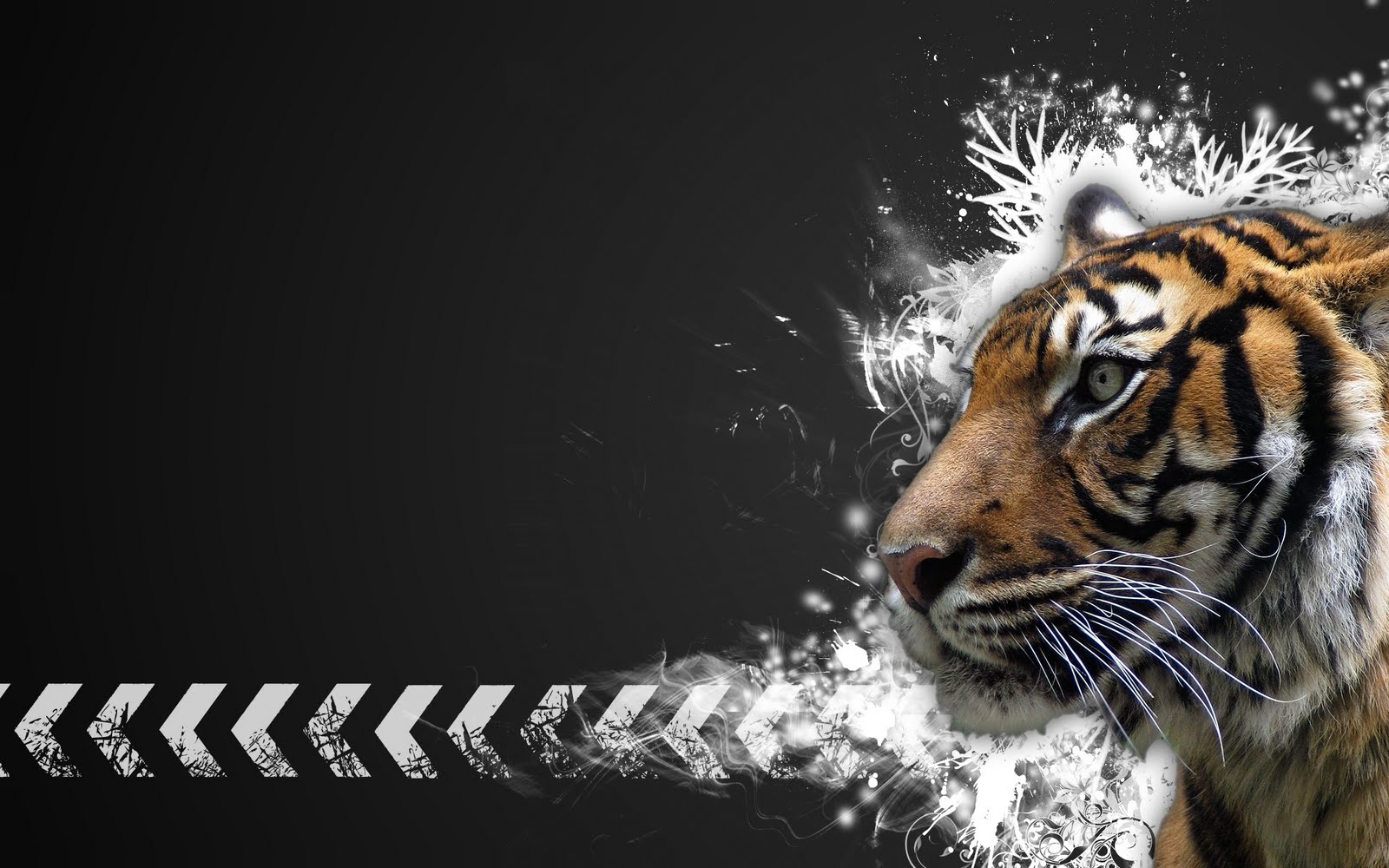 tiger backgrounds for computer #14