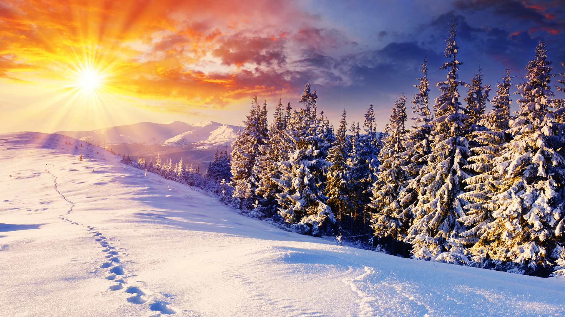 High definition winter wallpapers