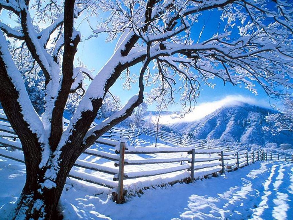 High definition winter wallpapers