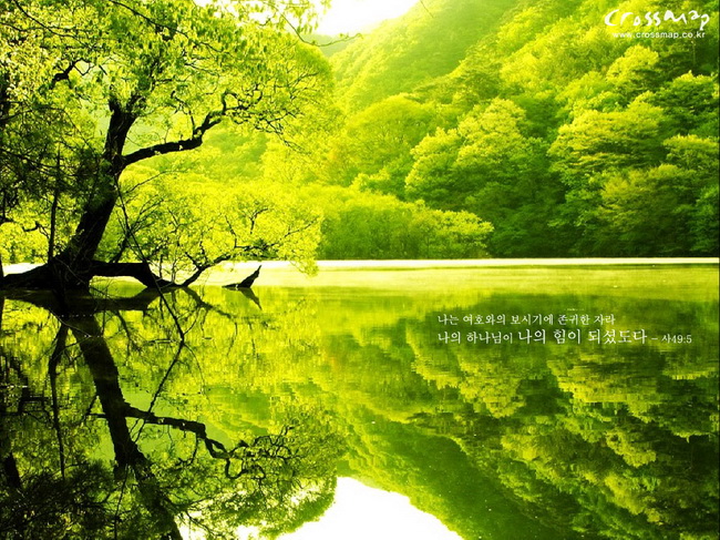 high quality nature wallpapers free download #23