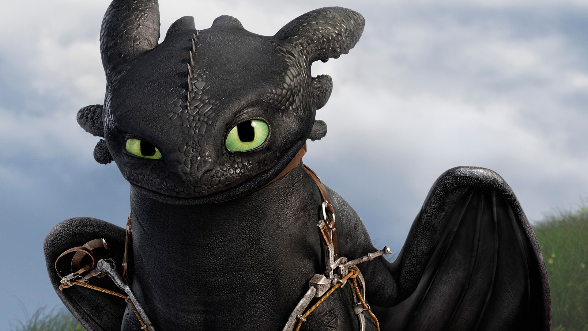 Toothless the dragon wallpaper