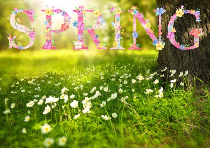 images of spring