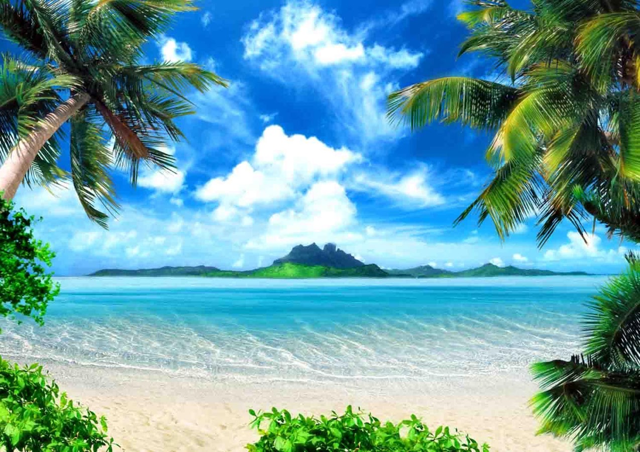Tropical Island Wallpaper - Android Apps on Google Play