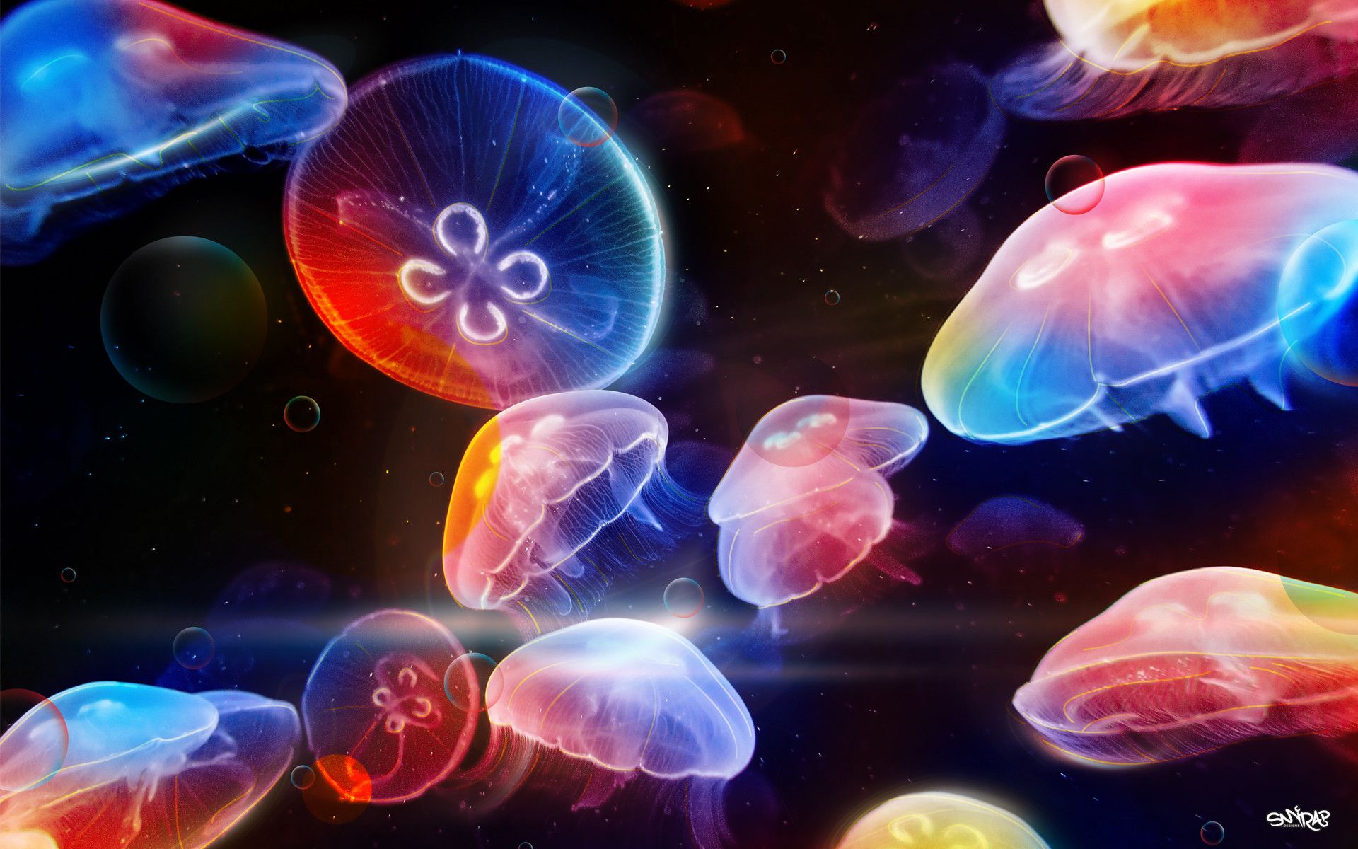 Jellyfish wallpapers