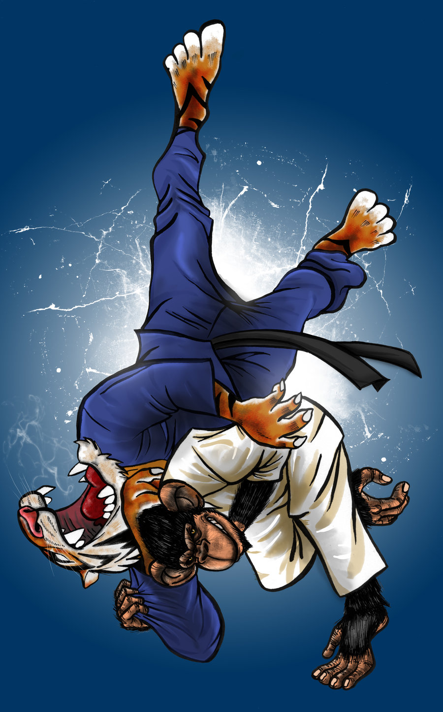 judo wallpaper - Google Search | flyers 4 inspiration | Pinterest