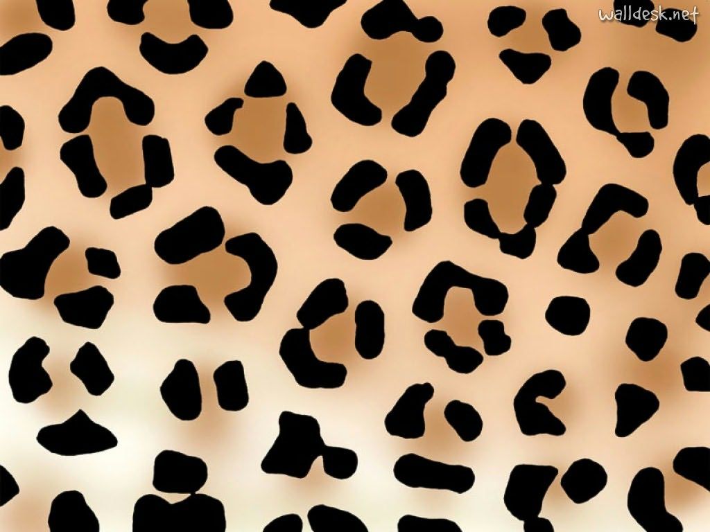 leopard print wallpaper #17