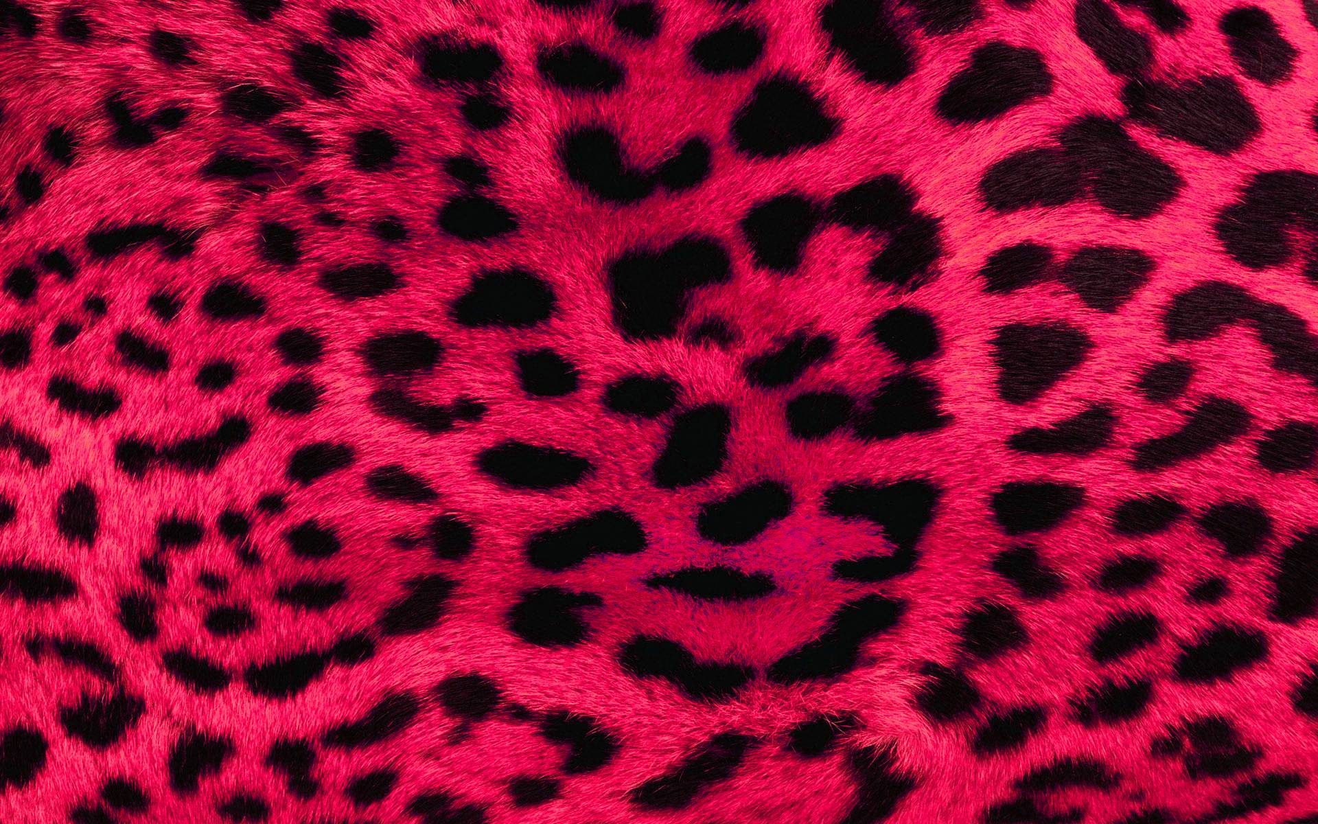 leopard print wallpaper #15