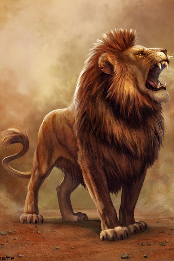 wallpaper of lion #17