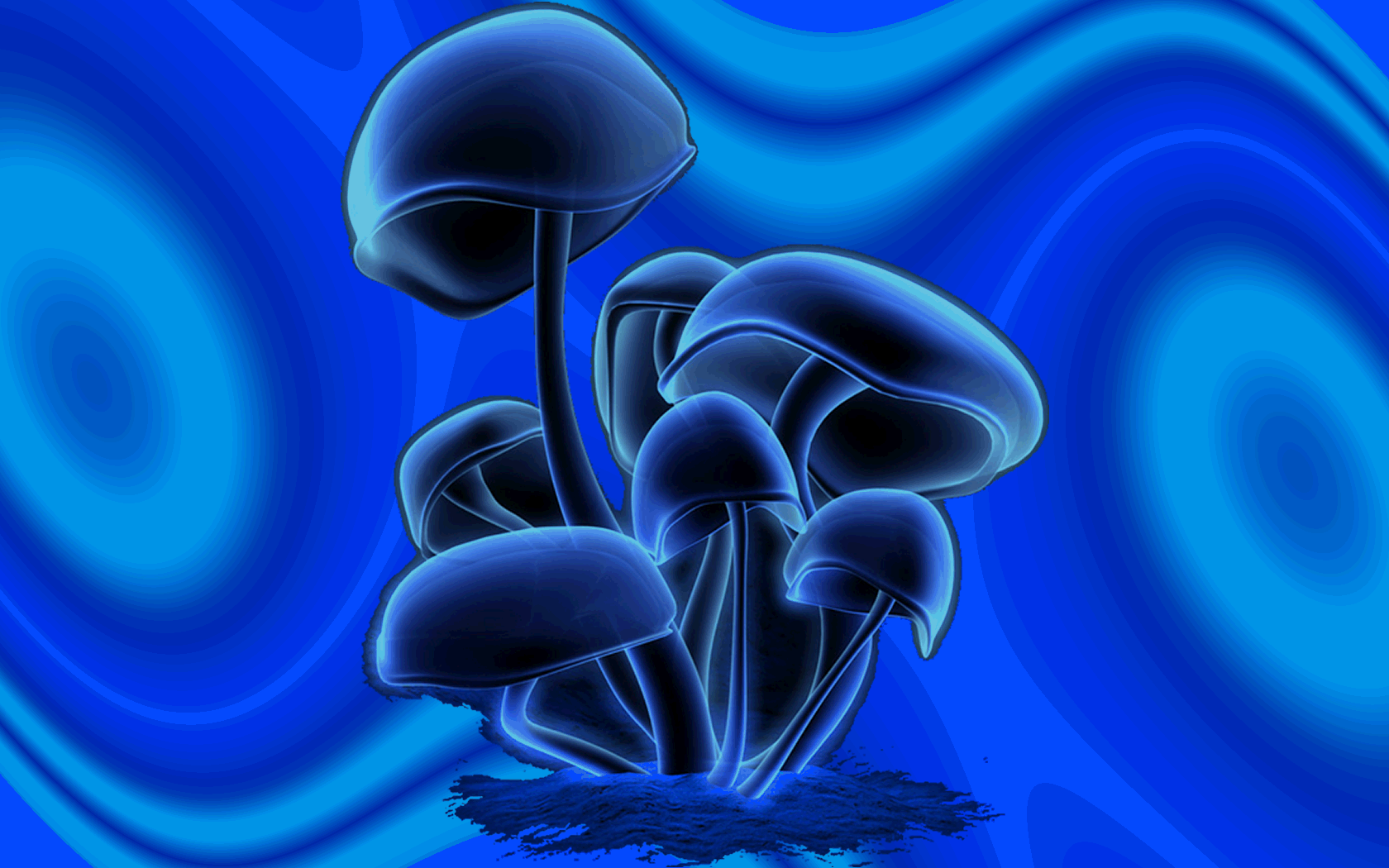 Magic mushroom wallpaper