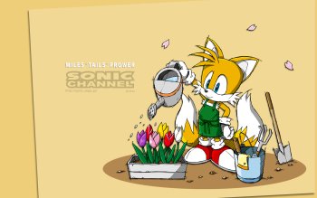 Miles tails prower wallpaper