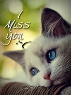 Miss you wallpaper download