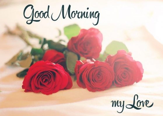 Good Morning Love Images Quotes |Top 50 Free Download