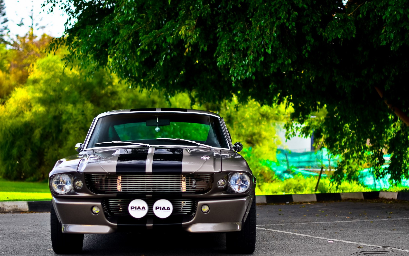 Muscle cars backgrounds