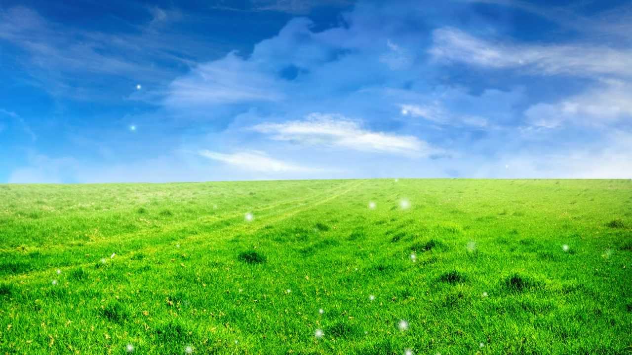 Natural Background Images SF Wallpaper