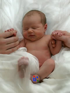 New born babies wallpapers
