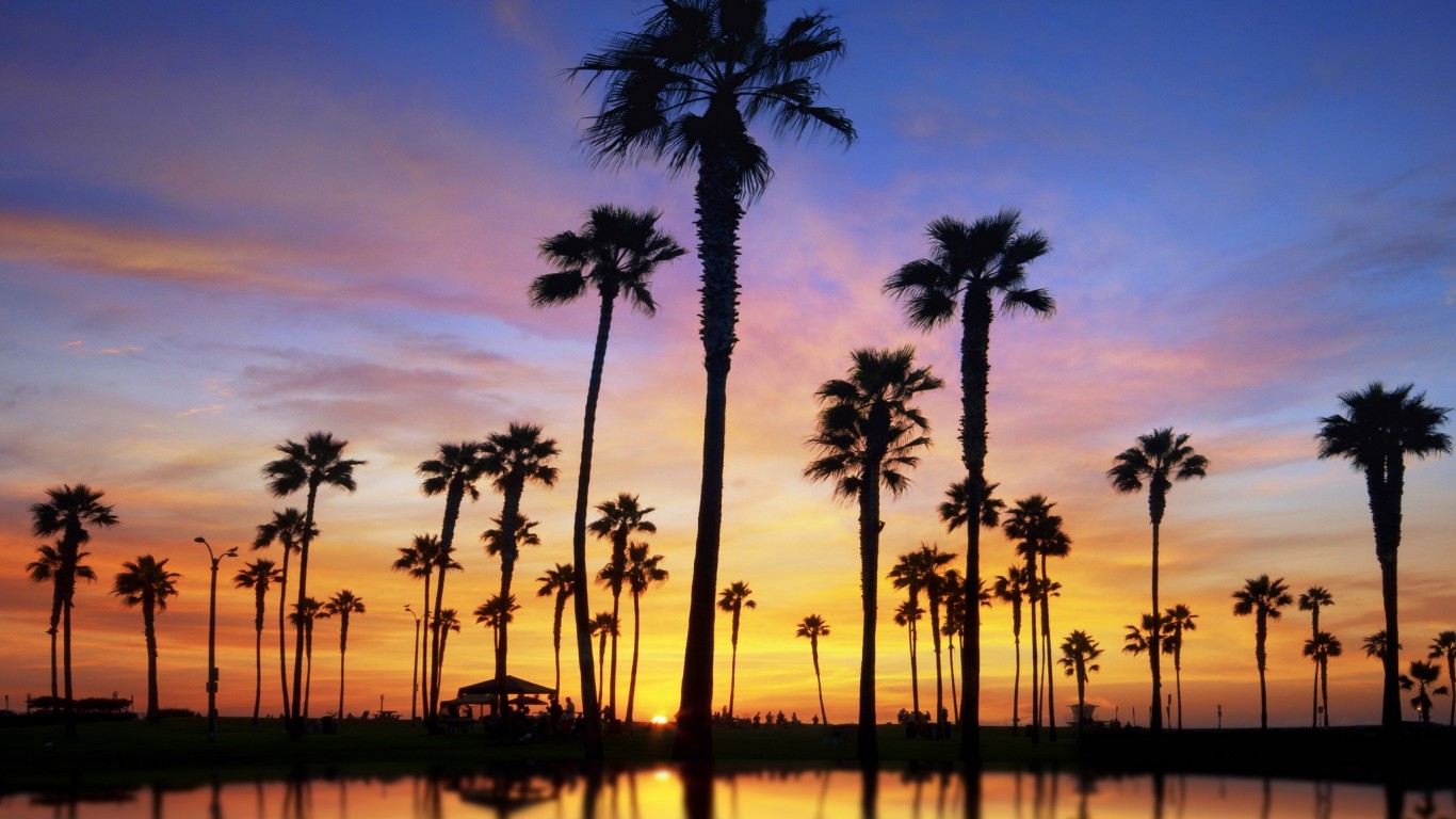 Download 21 palm-tree-sunset-wallpaper Desktop-wallpaper-tropical-palm-trees-miami-sunset-hd-.jpg