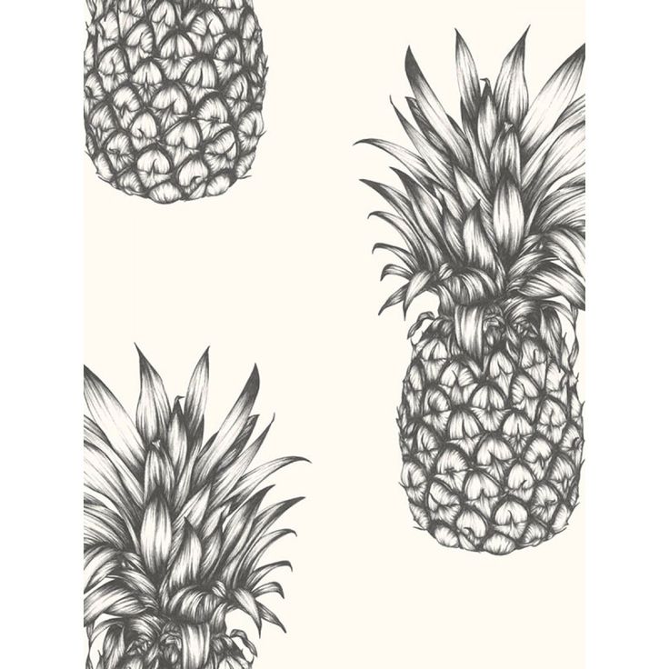 pineapple wallpaper #22