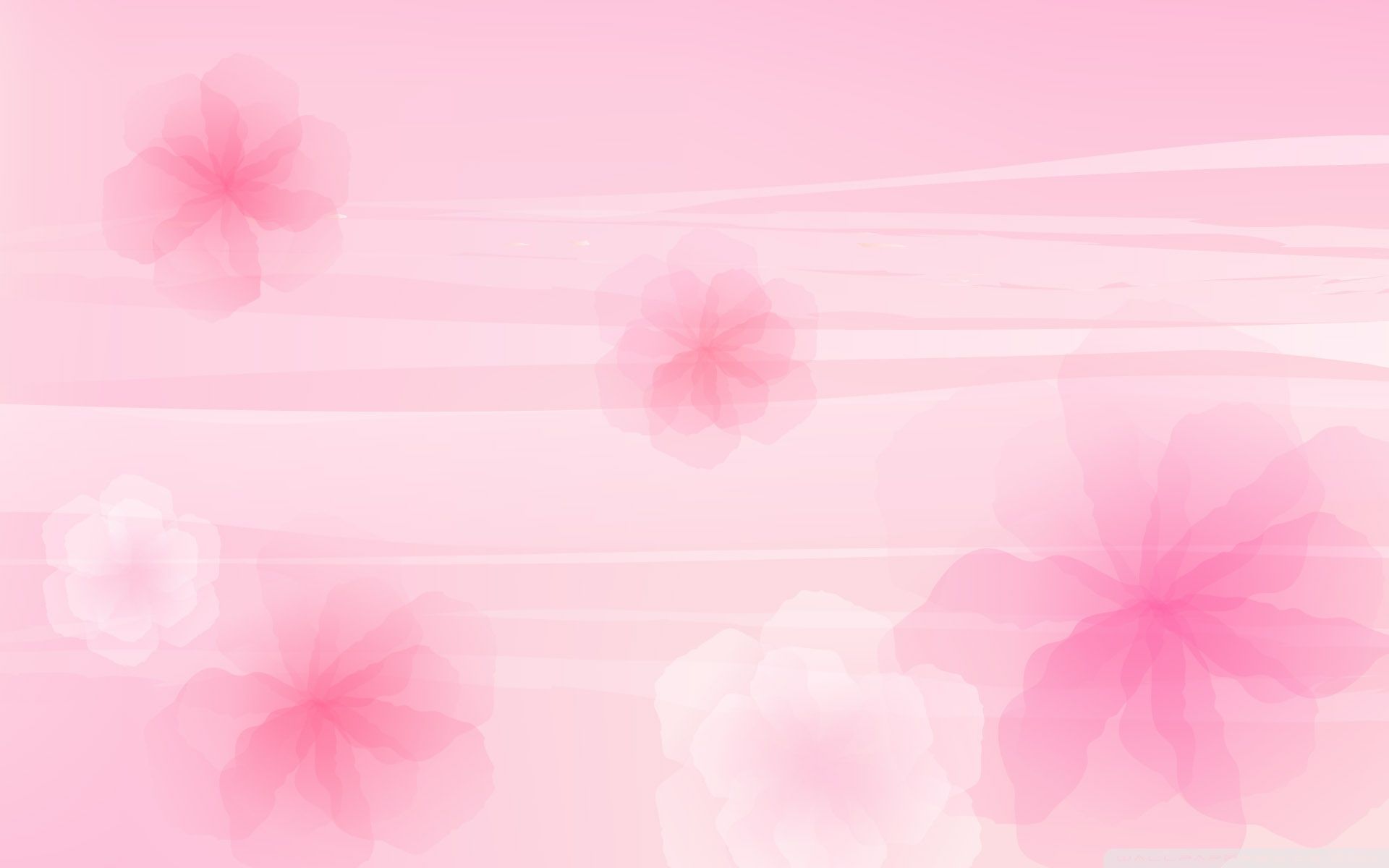 pink background pictures #2
