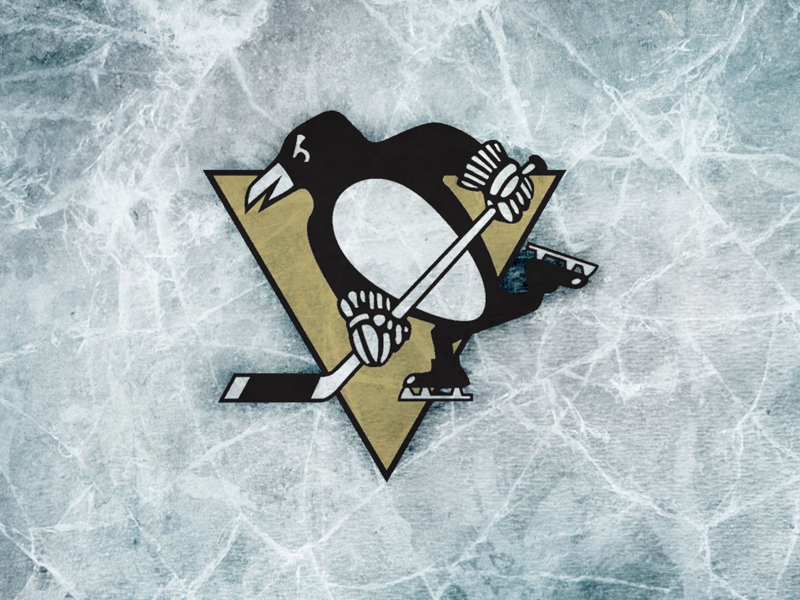 Pittsburgh penguins background