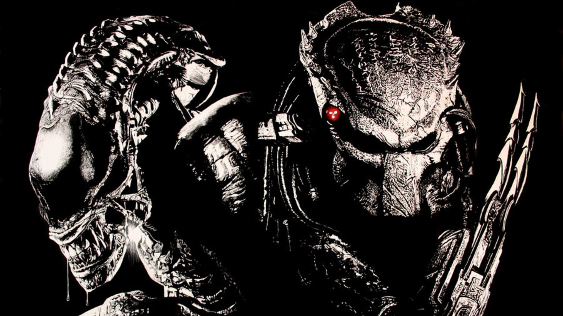 Predator vs alien wallpaper